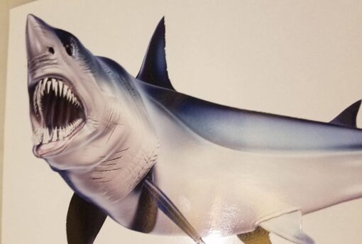 Mako Shark Decal Unleash the Predator on Your Boat - Image 2