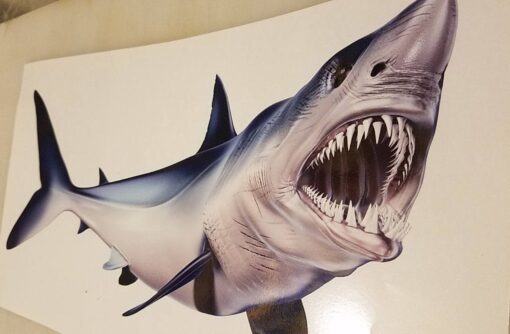 Mako Shark Decal Unleash the Predator on Your Boat - Image 4