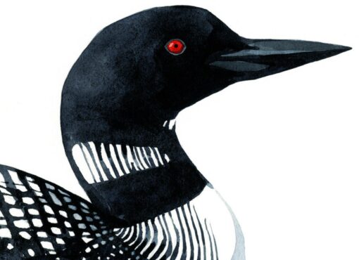 Loon Art Print Tranquil Watercolor Serenity for Coastal and Lakehouse Ambiance - Image 4