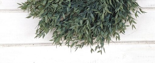 Charming Greenery Mini Wreath A Touch of Nature for Your Home - Image 3