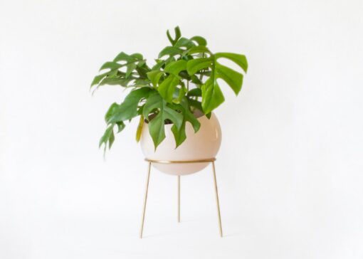 Exquisite Nude Pink and Brass Floor Planter Elevate Your Home's Ambiance - Image 3