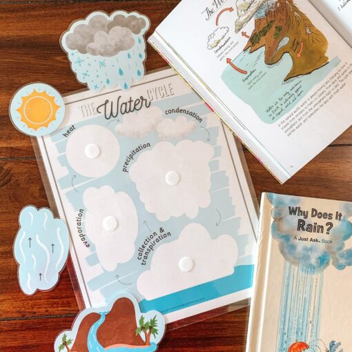 Water Cycle Adventure A Printable Nature Study for Young Explorers - Image 4