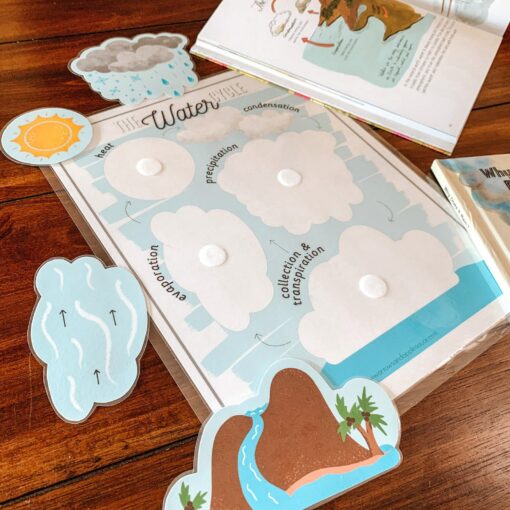Water Cycle Adventure A Printable Nature Study for Young Explorers - Image 5