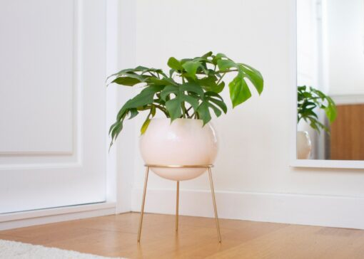 Exquisite Nude Pink and Brass Floor Planter Elevate Your Home's Ambiance - Image 2