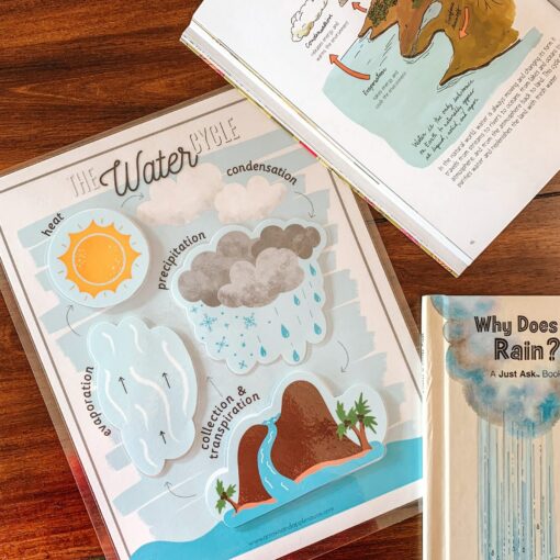 Water Cycle Adventure A Printable Nature Study for Young Explorers - Image 2