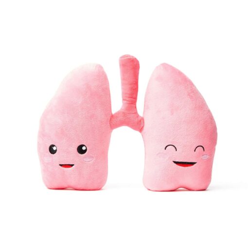 Anatomical Lung Plushie A Unique Gift for Medical Professionals and Students - Image 3