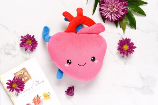 Heartfelt Plush A Symbol of Love and Resilience for Cardiology Professionals - Image 5