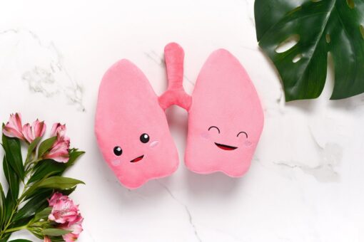 Anatomical Lung Plushie A Unique Gift for Medical Professionals and Students - Image 5