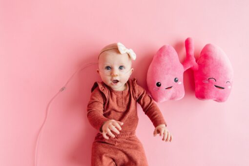 Anatomical Lung Plushie A Unique Gift for Medical Professionals and Students - Image 2