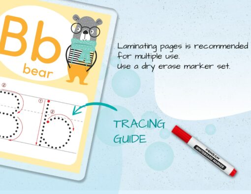 Animal Alphabet Tracing Cards Fun and Educational Flashcards for Early Learning - Image 2