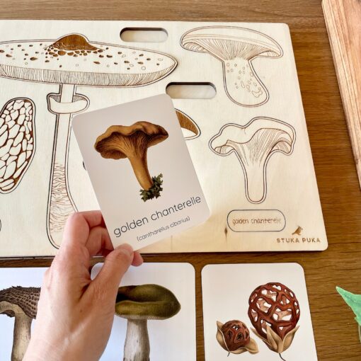 Montessori Mushroom Flashcards Unveil the Wonders of Nature for Early Learners - Image 4