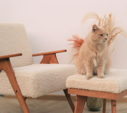 Mid-Century Modern Oasis Vintage Boucle Armchair and Ottoman Set for Timeless Comfort - Image 2
