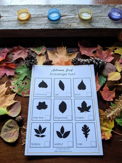 Autumnal Adventure Printable Fall Leaves Activity for Toddlers and Homeschoolers - Image 5