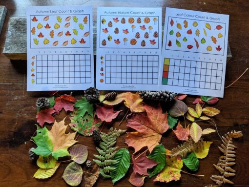 Autumnal Adventure Printable Fall Leaves Activity for Toddlers and Homeschoolers - Image 4