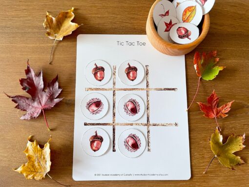 Autumnal Adventure Printable Fall Leaves Activity for Toddlers and Homeschoolers - Image 3