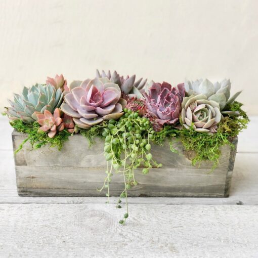 Succulent Garden Box A Perfect Gift for Loved Ones and Clients - Image 4