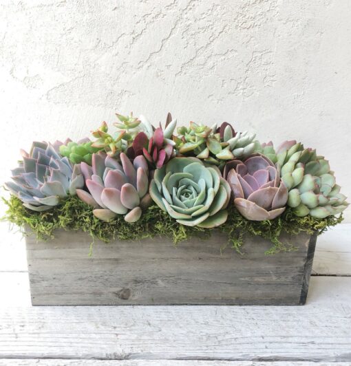 Succulent Garden Box A Perfect Gift for Loved Ones and Clients - Image 3