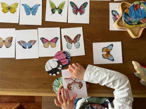 Butterfly Matching Cards Montessori-Inspired Nature Study for Toddlers - Image 5