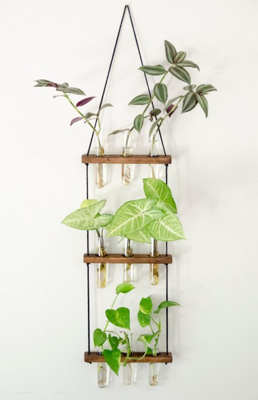 Hanging Ladder Propagation Station Elevate Your Plant Propagation with Style - Image 4