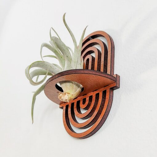 Enchanting Boho Rainbow Air Plant Wall Display Elevate Your Plant Sanctuary - Image 3