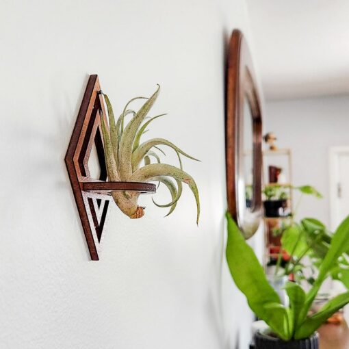Diamond-Cut Geometric Air Plant Wall Decor Elevate Your Greenery with Modern Elegance - Image 2