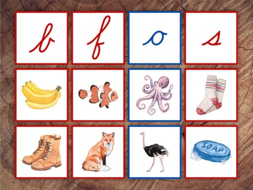 Cursive Letter Sounds Picture Sorting Cards Red Consonants, Blue Vowels - Image 2