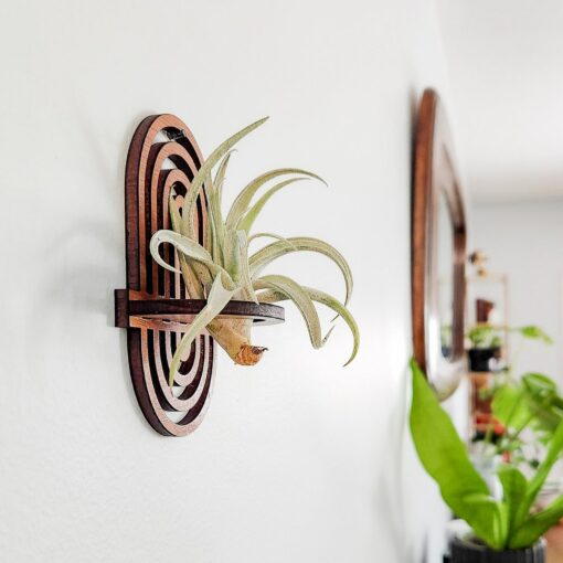 Enchanting Boho Rainbow Air Plant Wall Display Elevate Your Plant Sanctuary - Image 2