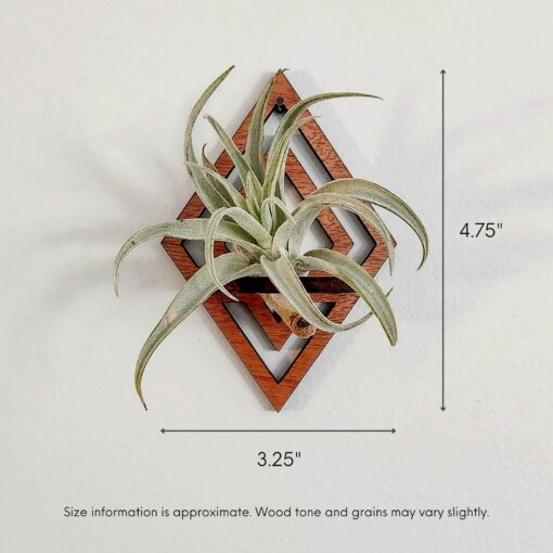Diamond-Cut Geometric Air Plant Wall Decor Elevate Your Greenery with Modern Elegance - Image 4