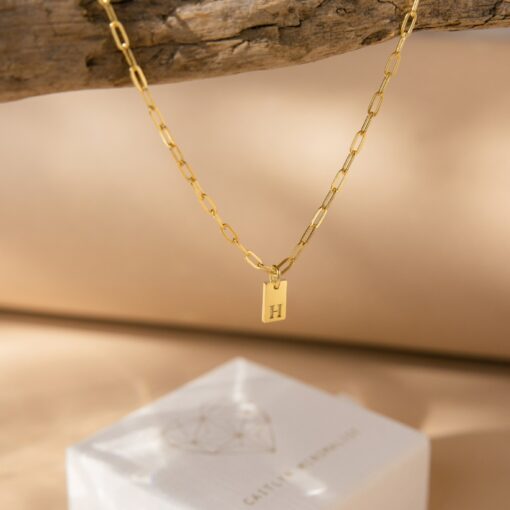 Personalized Paperclip Chain Necklace with Initial Charm A Timeless Gift for Mom (NM115bNIF33) - Image 3