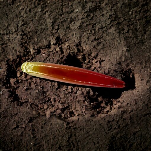 Captivating the Rainbow The ?Arc en Ciel? - An Enchanting Lure for Trout - Image 6
