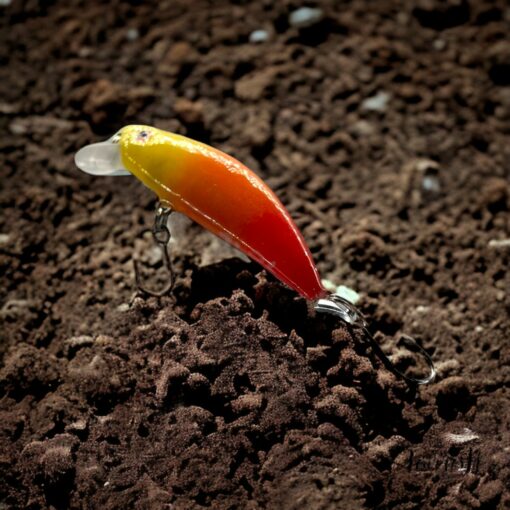 Captivating the Rainbow The ?Arc en Ciel? - An Enchanting Lure for Trout - Image 5