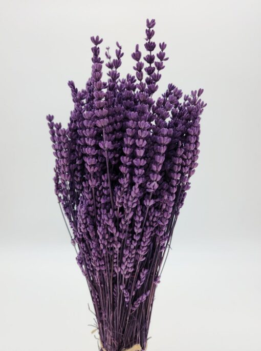 Enchanting Lavender Bundle Nature's Fragrance for Home, Events, and Crafts - Image 3