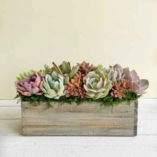 Succulent Garden Box A Perfect Gift for Loved Ones and Clients - Image 2