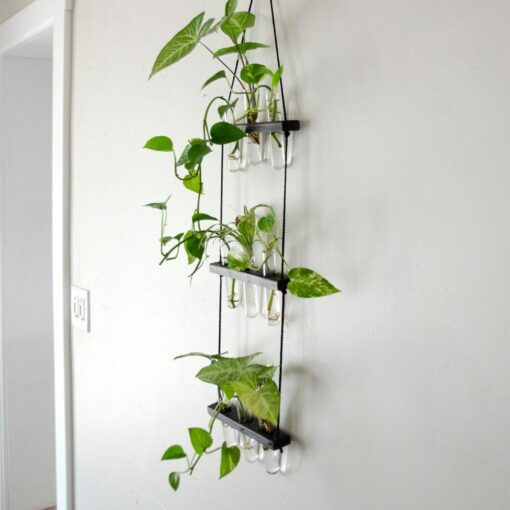 Hanging Ladder Propagation Station Elevate Your Plant Propagation with Style - Image 2