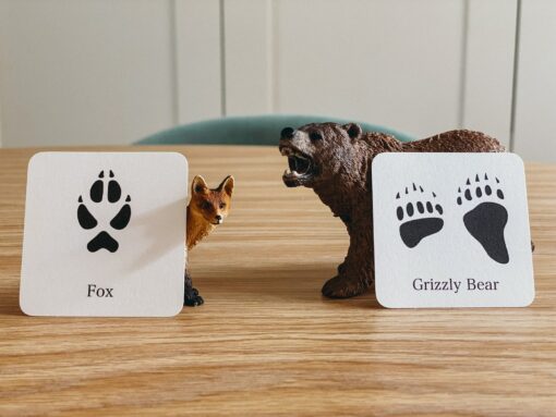 Animal Track Mini Flashcards Unlock the Secrets of Nature's Footprints - Image 2