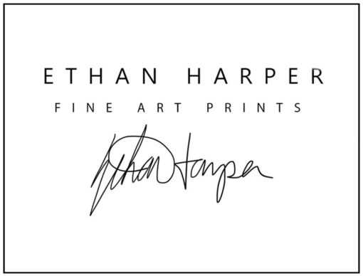 Ethan Harper's Masterful Black Lab Drawing A Timeless Wall Decor for Dog Lovers - Image 3