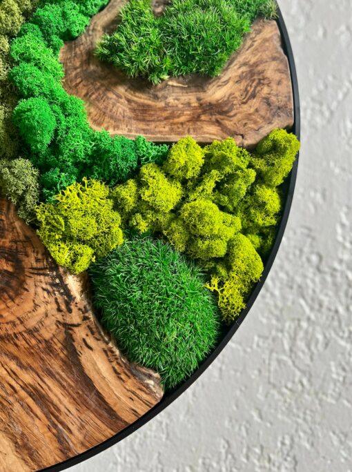 2ft 24? Preserved Moss Wall Art Circle Nature's Tranquility for Your Home and Office - Image 3