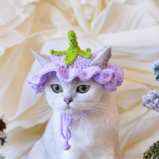 Enchanting Eggplant Elegance Matching Crochet Hat Set for You and Your Furry Friend - Image 3