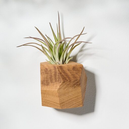 White Oak Geometric Air Plant Holder Elevate Your Home with Natural Elegance - Image 2