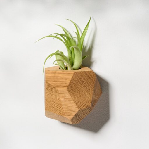 White Oak Geometric Air Plant Holder Elevate Your Home with Natural Elegance - Image 3