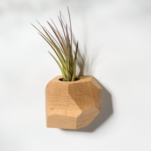 White Oak Geometric Air Plant Holder Elevate Your Home with Natural Elegance - Image 4