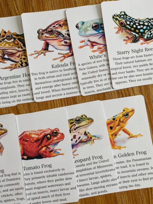 Discover the World of Frogs Printable Flashcards for Nature Science Exploration - Image 6