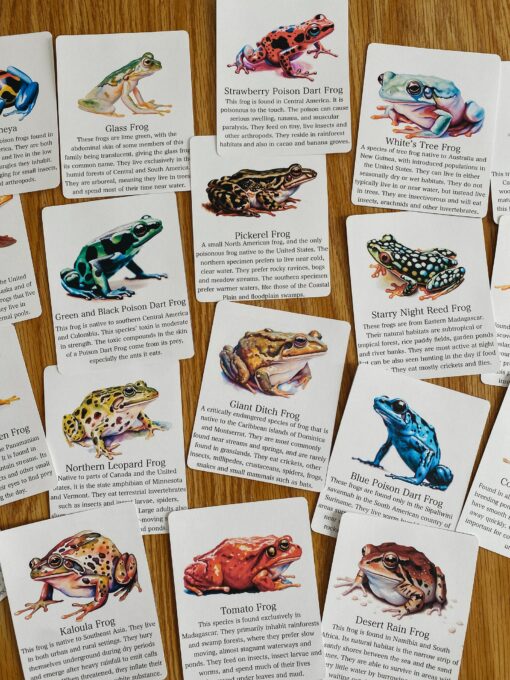 Discover the World of Frogs Printable Flashcards for Nature Science Exploration - Image 5