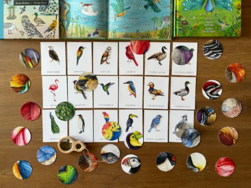 Montessori Bird Flashcards Pattern Matching and Bird Identification for Preschoolers - Image 2