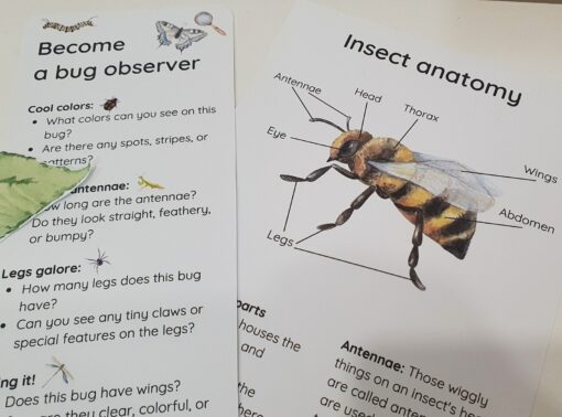 Bug Explorer's Paradise Unleash Your Child's Curiosity with Our Entomology Lab Pretend Play Set - Image 5