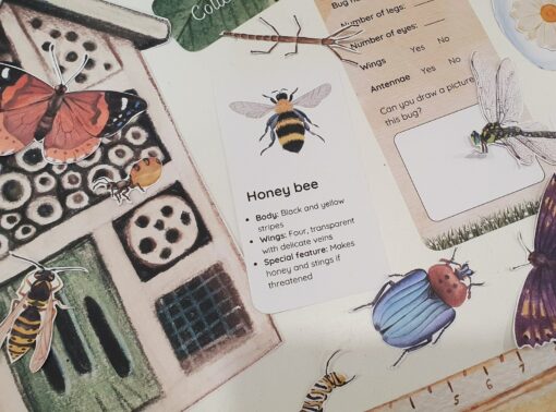 Bug Explorer's Paradise Unleash Your Child's Curiosity with Our Entomology Lab Pretend Play Set - Image 2