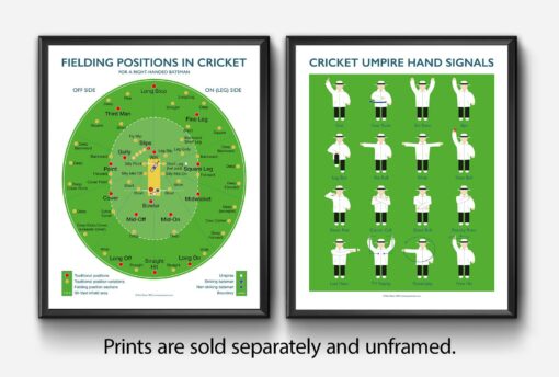 Master the Art of Fielding Elevate Your Cricket Skills with Our Comprehensive Guide - Image 3