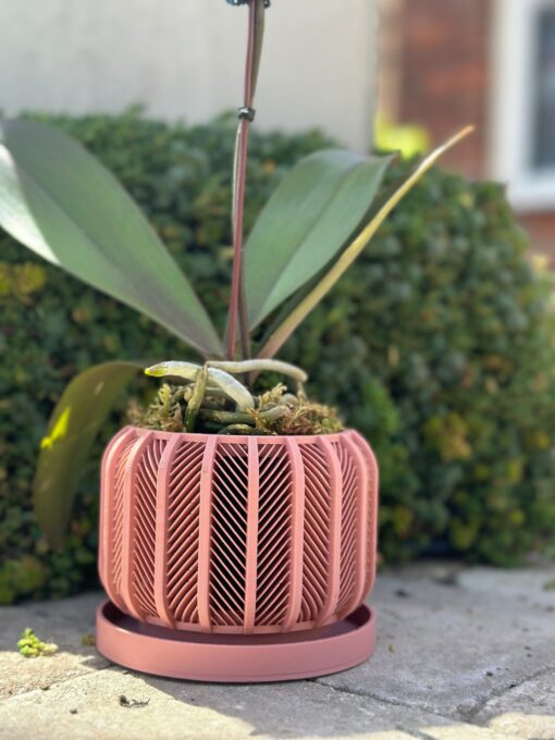 RODEX Orchid Planter Modern 3D Printed Indoor Pot for Succulents, Cacti, and Monstera (3"-7.4") - Image 2