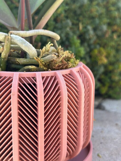 RODEX Orchid Planter Modern 3D Printed Indoor Pot for Succulents, Cacti, and Monstera (3"-7.4") - Image 3