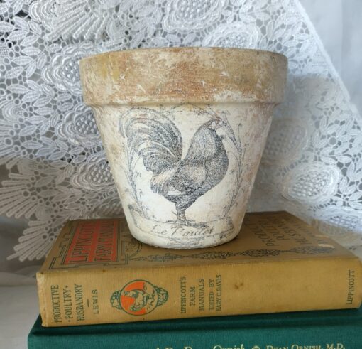 Charming French Country Rooster Terracotta Planter Rustic Hen or Chicken Le Poulet in Distressed Aged Look (4 or 6 in Clay Pot) - Image 2